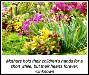 mother's day quotes