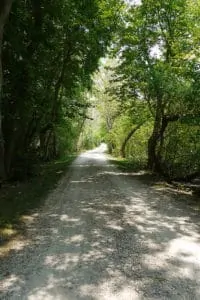 looking back - review of 2017