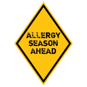 3 Easy Ways to Distinguish Allergies from Colds