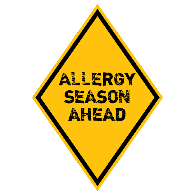 3 Easy Ways to Distinguish Allergies from Colds - Mom in the City